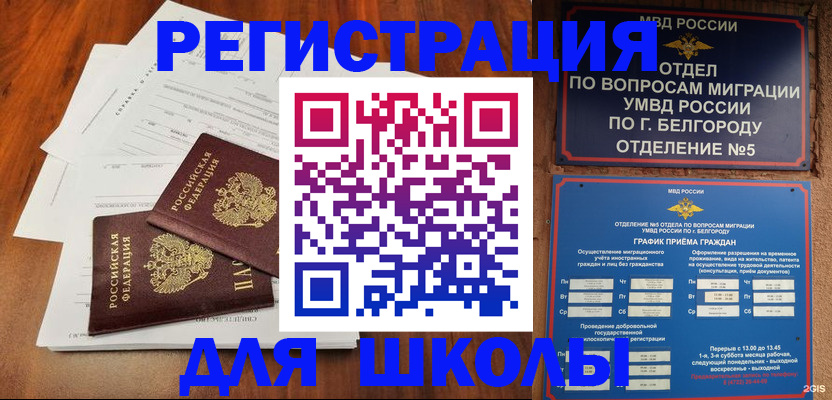 прописка поиск в Опочке